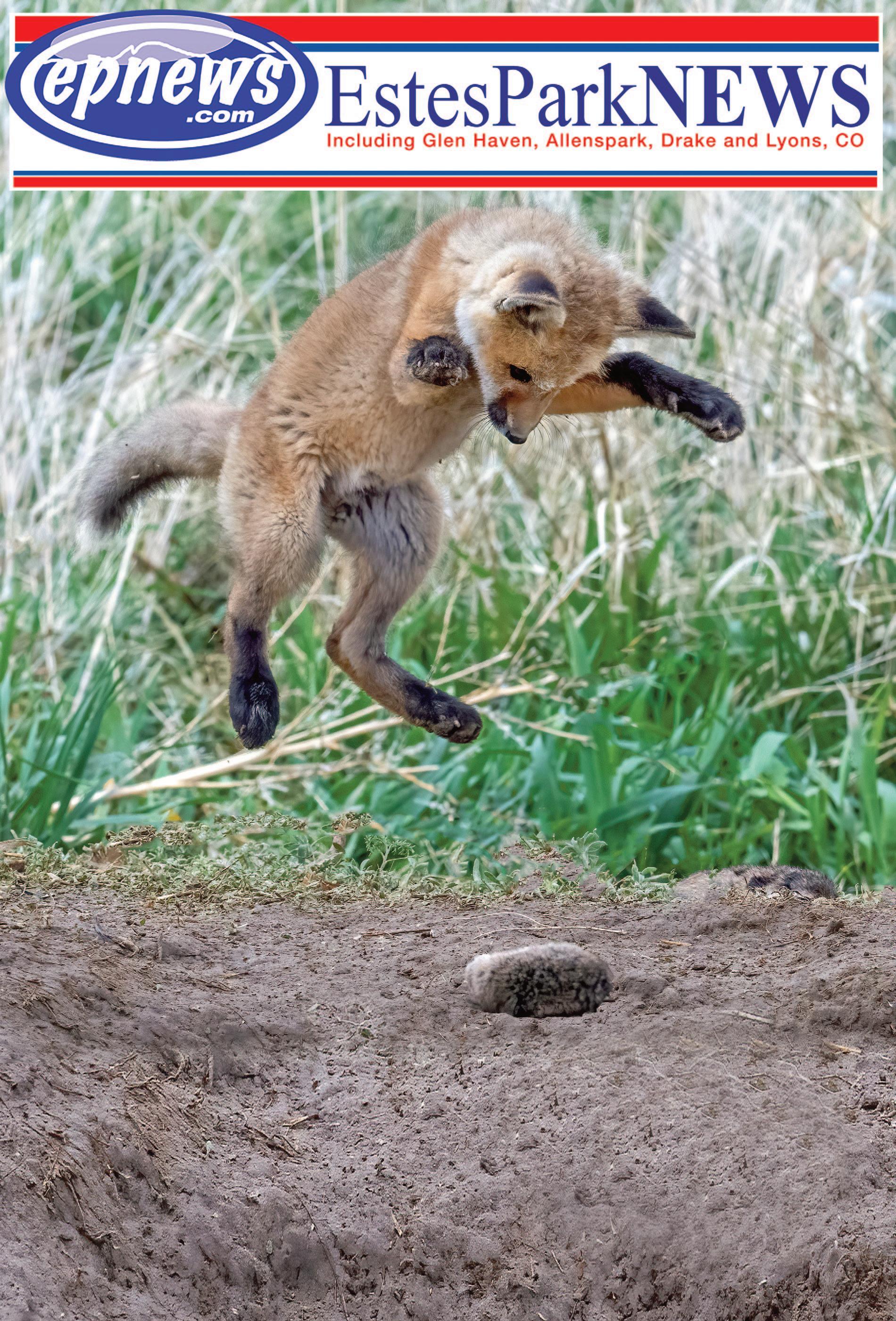 Estes Park News, April 26, 2024 by Estes Park News, Inc - Issuu