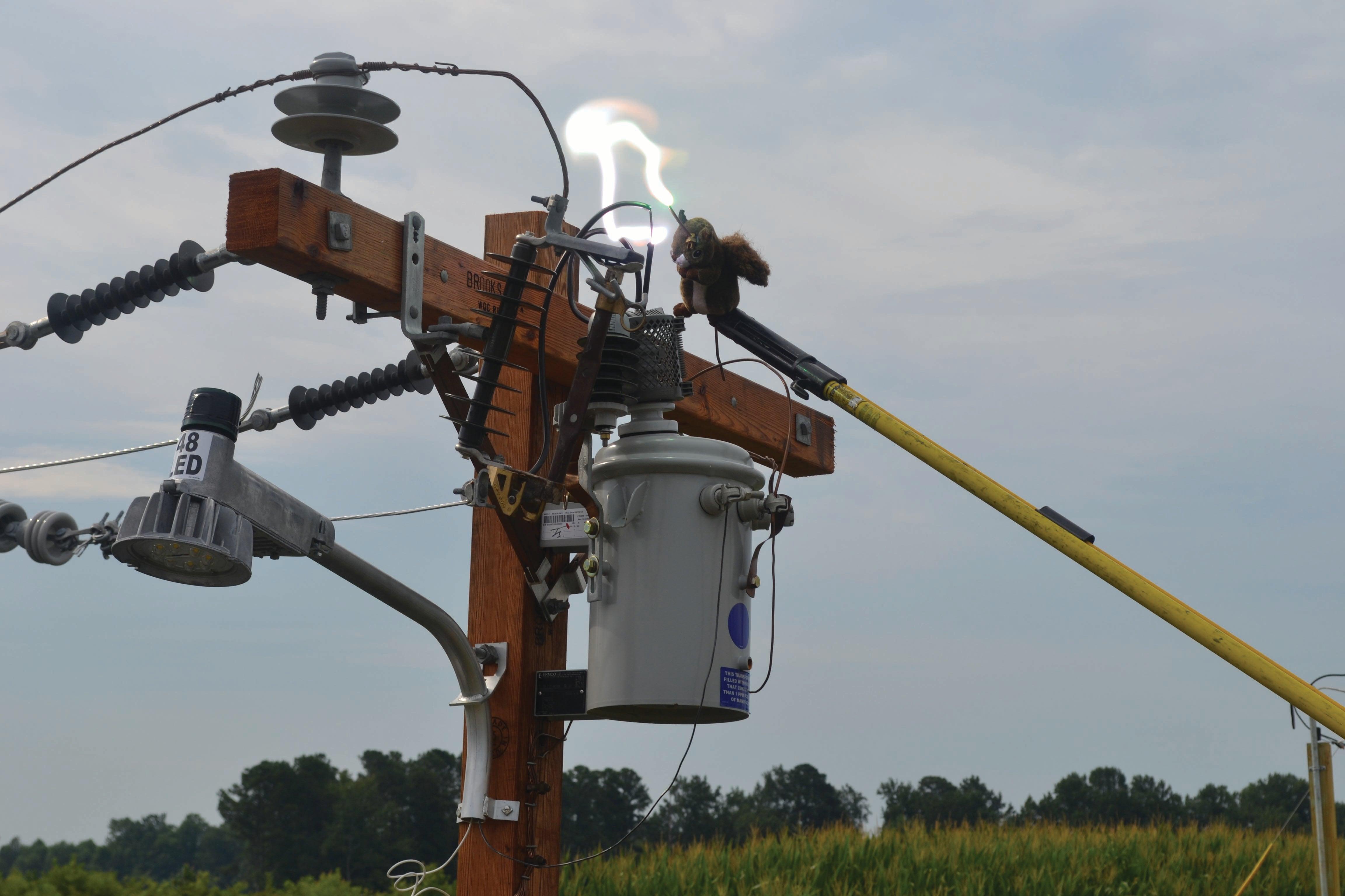 Electricity Safety | Albemarle Electric Membership Corporation