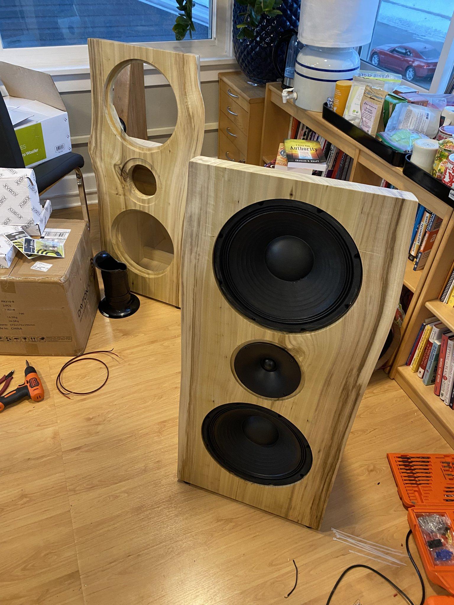 Ultimate Open Baffle Gallery | Page 204 | diyAudio