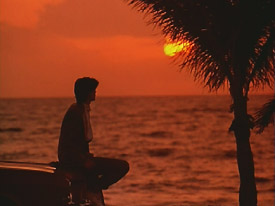 'Video Essentials' Image