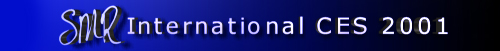 International CES 2001
