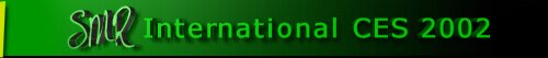 International CES 2002