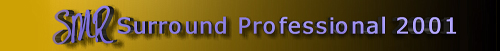 Surround Professional 2001